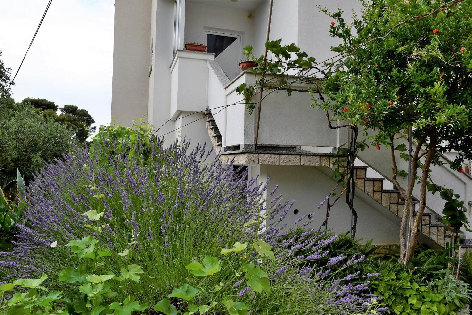 Sunnyy Beacch Apartments Banjol 객실 사진